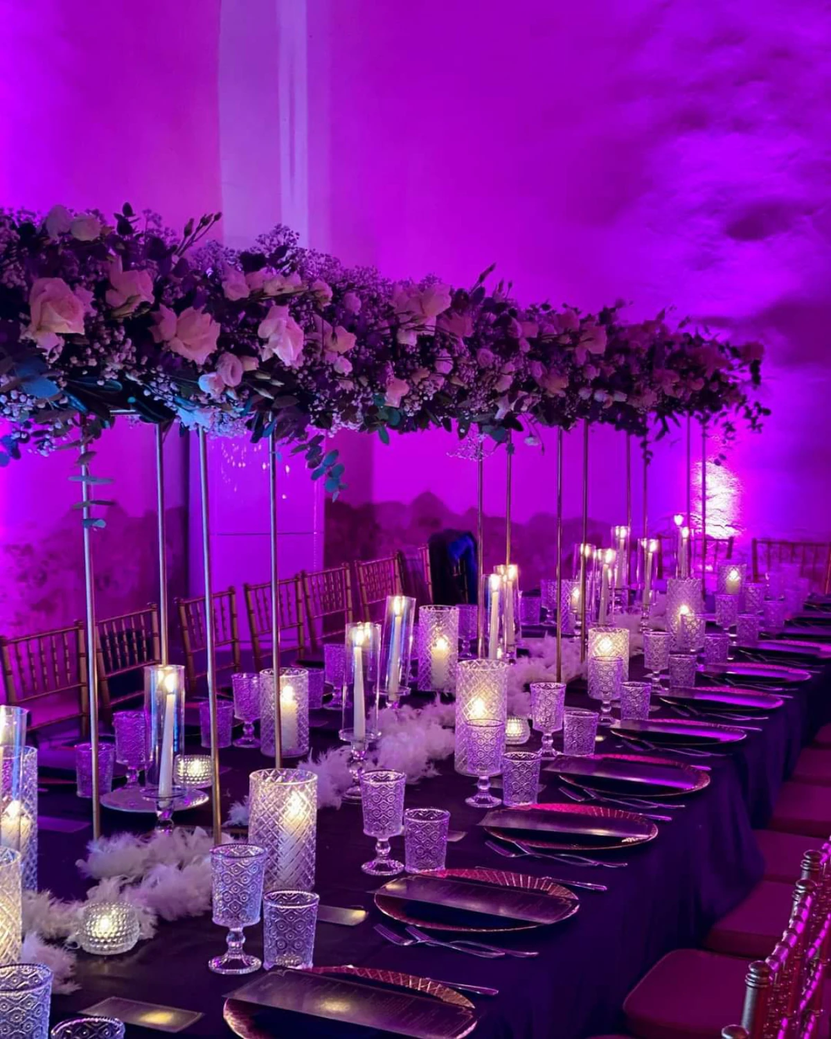 La sala illuminata di viola, con le piume bianche e le sedie dorate